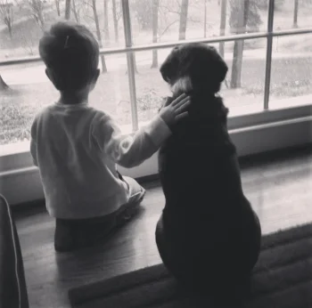 Simon and Finley