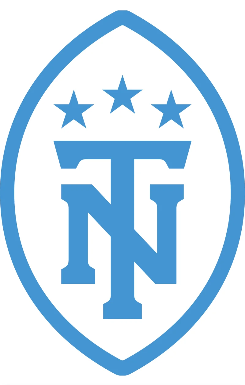Titans secondary logo