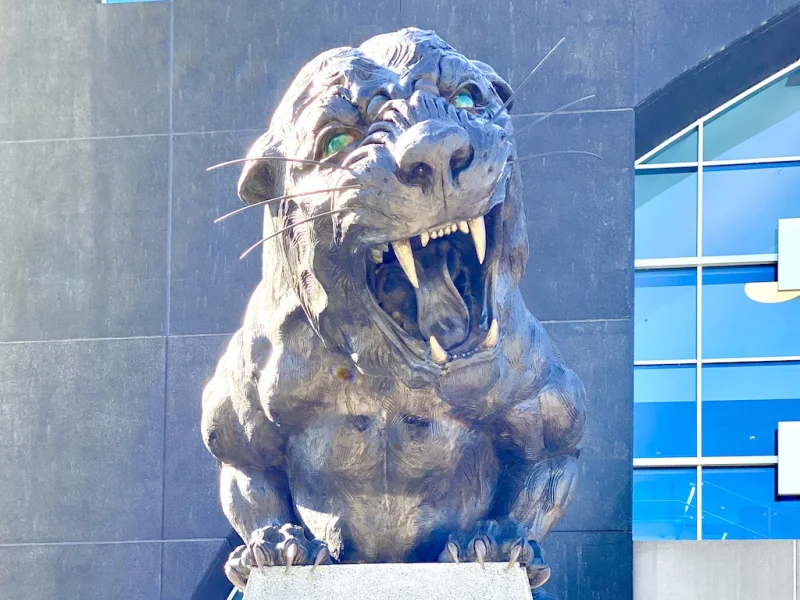 Panther